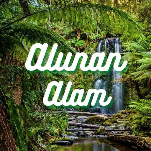 Play Suara Alam Untuk Meditasi APK