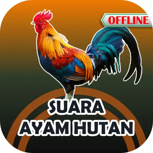 Play Suara Ayam Hutan Mp3 Offline APK Play Suara Ayam Hutan Mp3 Offline APK