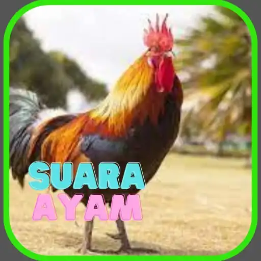 Play Suara Ayam Lengkap APK