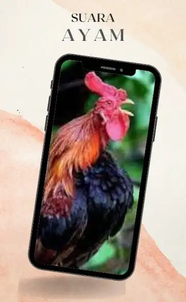Play Suara Ayam Lengkap and enjoy Suara Ayam Lengkap with UptoPlay Play Suara Ayam Lengkap and enjoy Suara Ayam Lengkap with UptoPlay