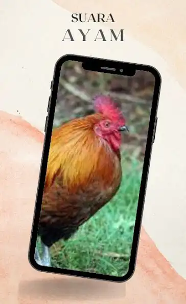 Play Suara Ayam Lengkap as an online game online Suara Ayam Lengkap with UptoPlay Play Suara Ayam Lengkap as an online game Suara Ayam Lengkap with UptoPlay