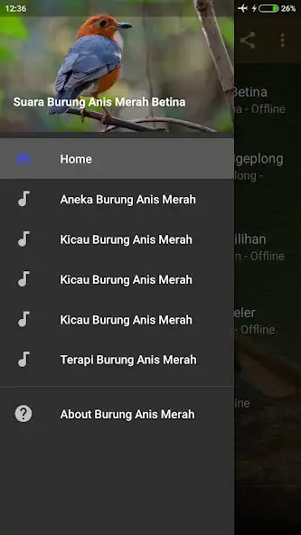 Play Suara Burung Anis Merah Betina  and enjoy Suara Burung Anis Merah Betina with UptoPlay