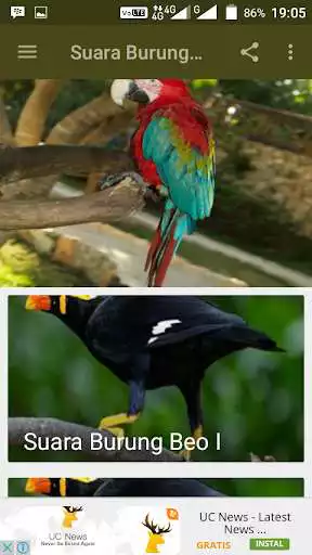 Play Suara Burung Beo  and enjoy Suara Burung Beo with UptoPlay