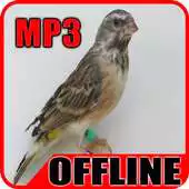 Free play online Suara Burung Blackthroat Gacor - Offline APK