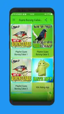 Play Suara Burung Cabai Terlengkap Play Suara Burung Cabai Terlengkap