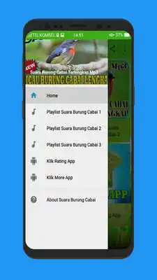 Play Suara Burung Cabai Terlengkap Play Suara Burung Cabai Terlengkap