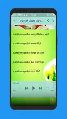 Play Suara Burung Cabai Terlengkap Play Suara Burung Cabai Terlengkap