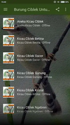 Play Suara Burung Ciblek Pikat Ampuh as an online game Suara Burung Ciblek Pikat Ampuh with UptoPlay