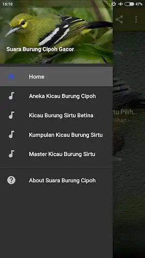 Play Suara Burung Cipoh Gacor and enjoy Suara Burung Cipoh Gacor with UptoPlay Play Suara Burung Cipoh Gacor and enjoy Suara Burung Cipoh Gacor with UptoPlay