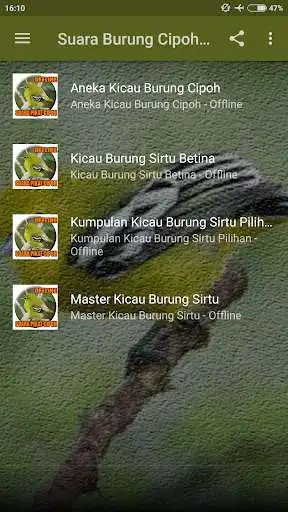 Play Suara Burung Cipoh Gacor as an online game online Suara Burung Cipoh Gacor with UptoPlay Play Suara Burung Cipoh Gacor as an online game Suara Burung Cipoh Gacor with UptoPlay