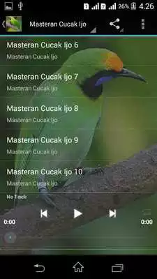 Play Suara Burung Cucak Ijo Gacor