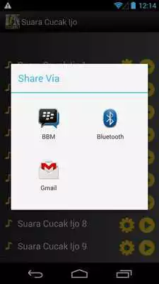 Play Suara Burung Cucak Ijo