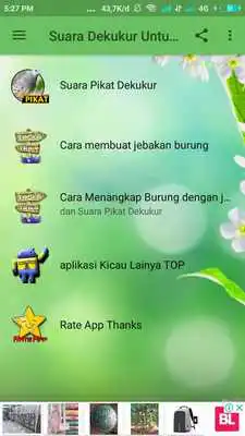 Play Suara Burung Dekukur Pikat JAWARA