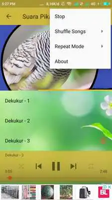 Play Suara Burung Dekukur Pikat JAWARA