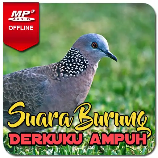 Play Suara Burung Derkuku Pikat APK Play Suara Burung Derkuku Pikat APK