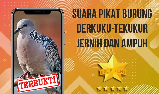 Play Suara Burung Derkuku Pikat  and enjoy Suara Burung Derkuku Pikat with UptoPlay