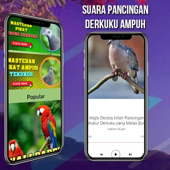 Play Suara Burung Derkuku Pikat as an online game Suara Burung Derkuku Pikat with UptoPlay
