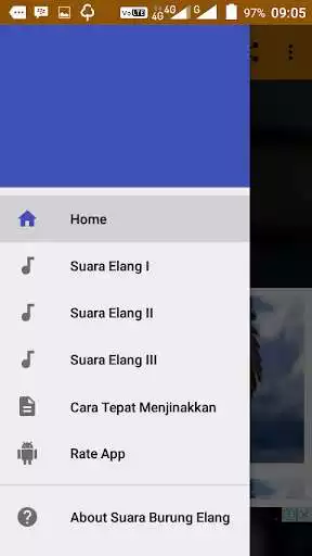Play Suara Burung Elang