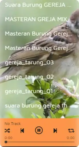 Play Suara Burung Gereja