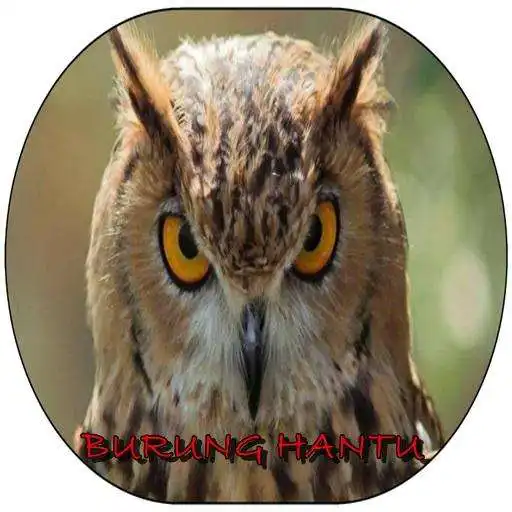 Run free android online Suara Burung Hantu APK