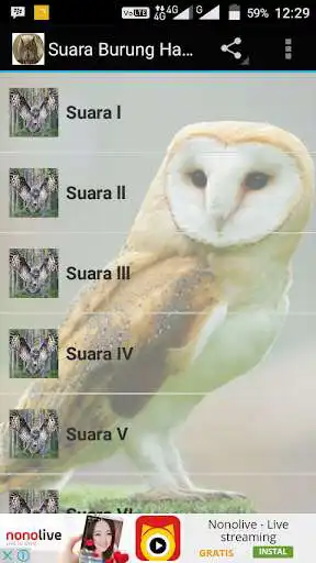 Play APK Suara Burung Hantu  and enjoy Suara Burung Hantu with UptoPlay com.pinarakapp.suaraburunghantu