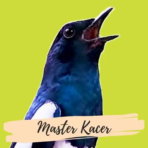 Play Suara Burung Kacer Betina  and enjoy Suara Burung Kacer Betina with UptoPlay