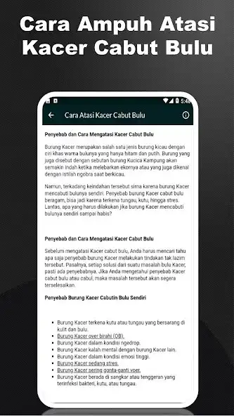 Play Suara Burung Kacer Gacor Mp3 as an online game Suara Burung Kacer Gacor Mp3 with UptoPlay