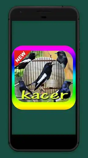 Play Suara Burung Kacer Mp3 as an online game Suara Burung Kacer Mp3 with UptoPlay