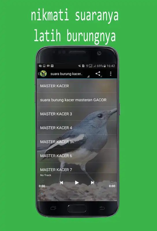 Play Suara Burung Kacer Mp3
