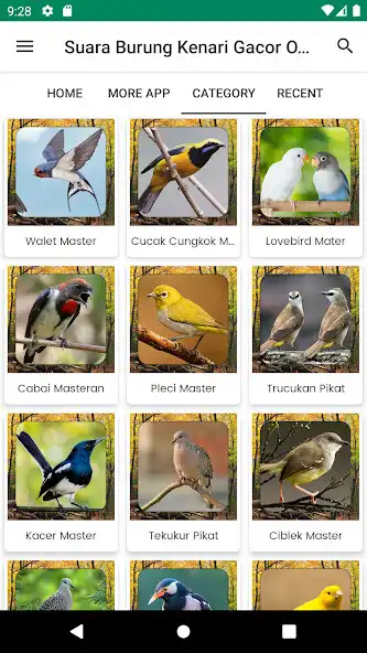 Play Suara Burung Kenari Gacor as an online game Suara Burung Kenari Gacor with UptoPlay
