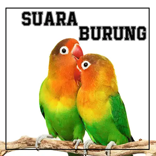 Run free android online Suara Burung Kicau APK Run free android online Suara Burung Kicau APK