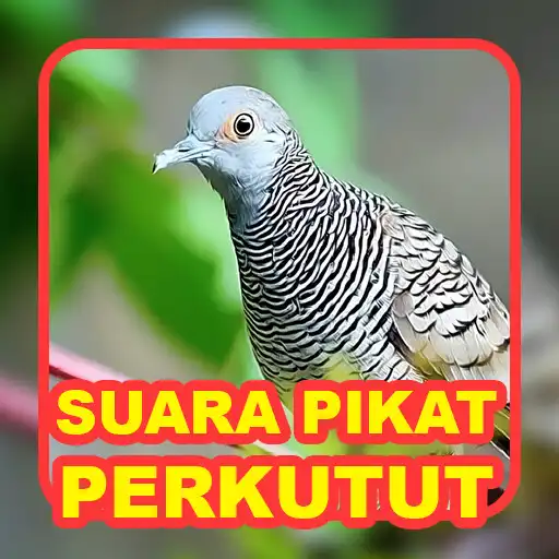 Play Suara Burung: Kicau Perkutut as an online game Suara Burung: Kicau Perkutut with UptoPlay