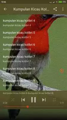 Play Suara Burung Kolibri Gacor