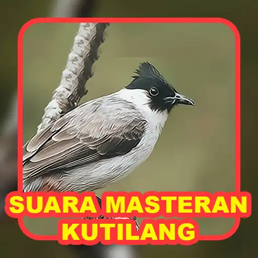 Play Suara burung kutilang APK