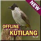Free play online Suara Burung Kutilang Offline MP3 APK