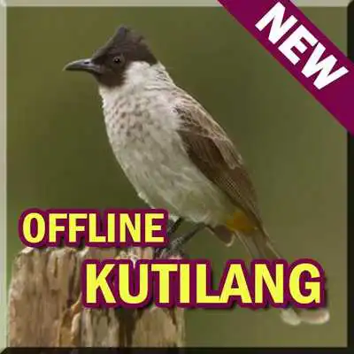 Play Suara Burung Kutilang Offline MP3