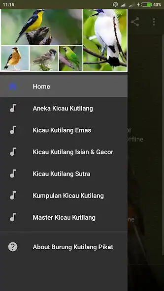 Play Suara Burung Kutilang Pikat and enjoy Suara Burung Kutilang Pikat with UptoPlay Play Suara Burung Kutilang Pikat and enjoy Suara Burung Kutilang Pikat with UptoPlay