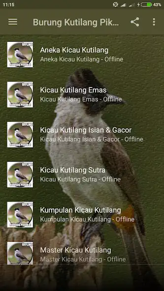 Play Suara Burung Kutilang Pikat as an online game online Suara Burung Kutilang Pikat with UptoPlay Play Suara Burung Kutilang Pikat as an online game Suara Burung Kutilang Pikat with UptoPlay