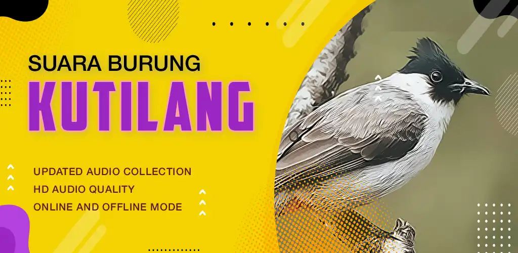 Play Suara burung kutilang  and enjoy Suara burung kutilang with UptoPlay
