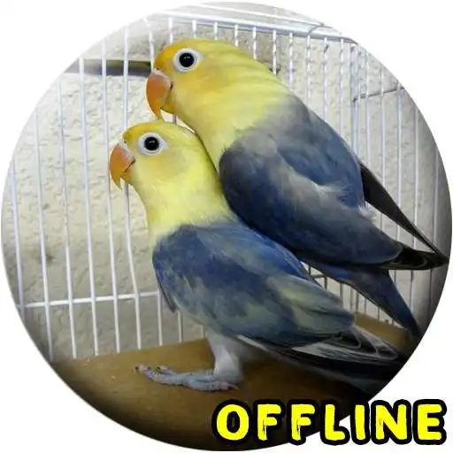 Free play online Suara Burung Lovebird Kawin MP3 APK Free play online Suara Burung Lovebird Kawin MP3 APK