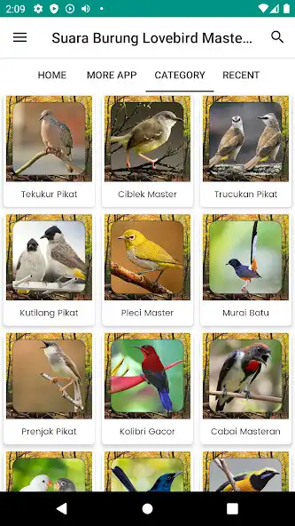 Play Suara Burung Lovebird Master as an online game Suara Burung Lovebird Master with UptoPlay