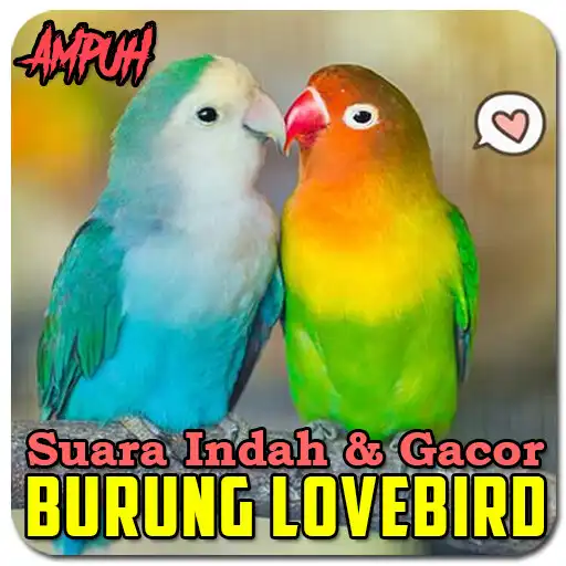 Play Suara Burung Lovebird Ngekek APK Play Suara Burung Lovebird Ngekek APK
