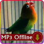 Free play online Suara Burung Lovebird Offline Terapi Macet Bunyi APK
