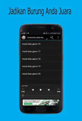 Play Suara Burung Murai Batu Master Play Suara Burung Murai Batu Master