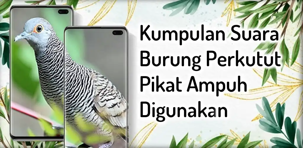 Play Suara Burung Perkutut Pikat  and enjoy Suara Burung Perkutut Pikat with UptoPlay