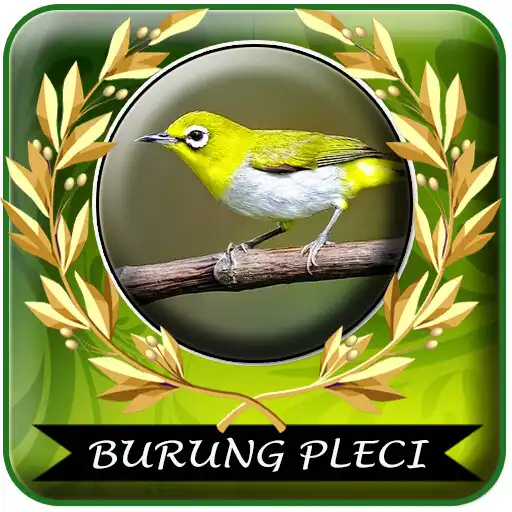 Play Suara Burung Pleci Gacor Mp3 Offline APK Play Suara Burung Pleci Gacor Mp3 Offline APK