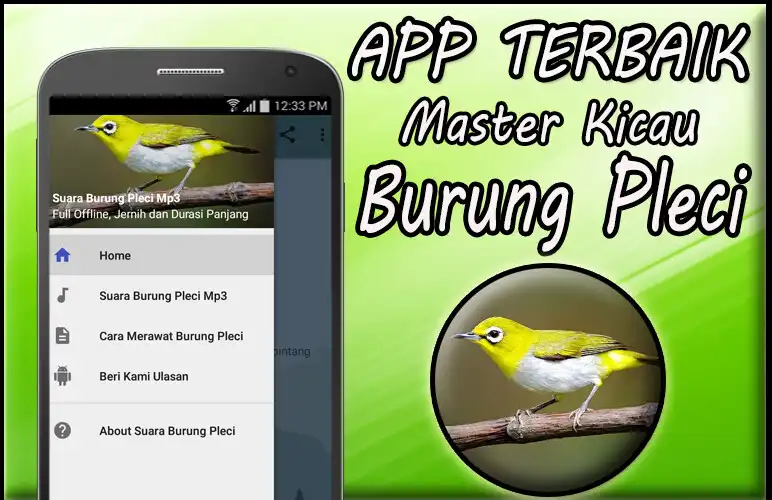 Play Suara Burung Pleci Gacor Mp3 Offline  and enjoy Suara Burung Pleci Gacor Mp3 Offline with UptoPlay