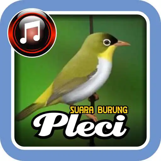 Free play online Suara Burung Pleci APK Free play online Suara Burung Pleci APK
