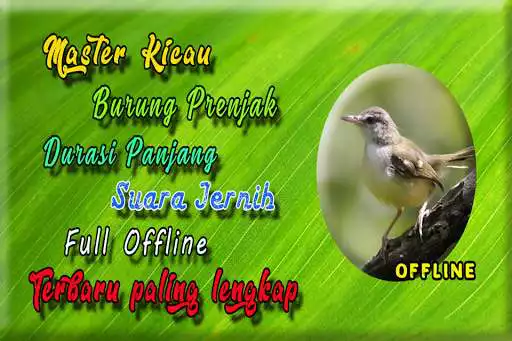 Play Suara Burung Prenjak MP3 and enjoy Suara Burung Prenjak MP3 with UptoPlay Play Suara Burung Prenjak MP3 and enjoy Suara Burung Prenjak MP3 with UptoPlay