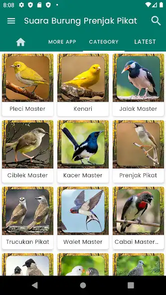 Play Suara Burung Prenjak Pikat as an online game Suara Burung Prenjak Pikat with UptoPlay